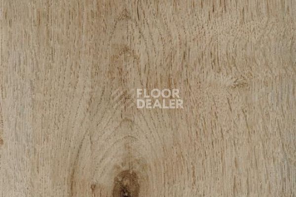 Виниловая плитка ПВХ FORBO Allura Decibel 8WHA03-3WHA03 golden harvest oak фото 1 | FLOORDEALER